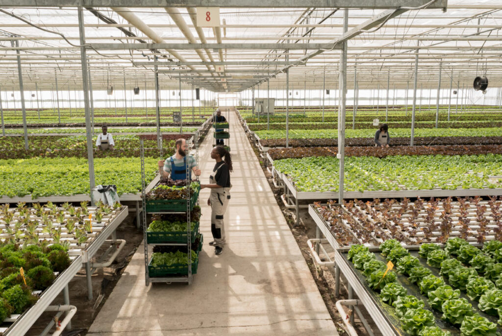 greenhouse in usa